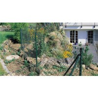 Topcolor Plus Viereckgeflecht 60X60-Rolle mit 25m -grün-